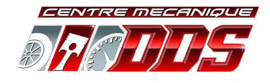 logo-dds